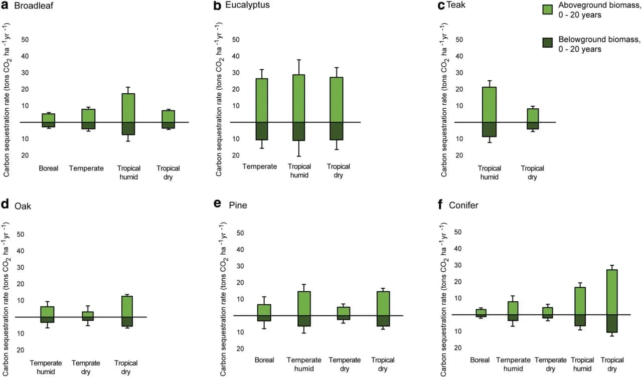 Kalkulator emisji CO2: Oblicz ślad i zyskaj przewagę ESG